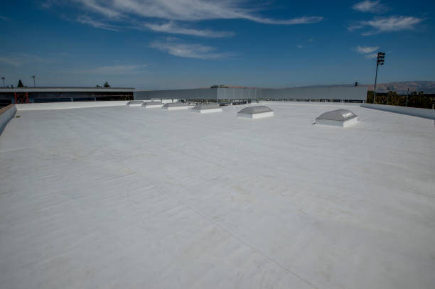 Best Green or Eco-Friendly Roofing Solutions  in Abilene, TX