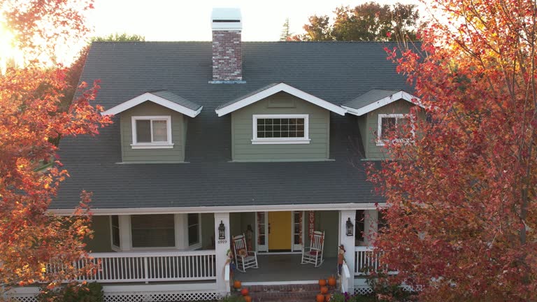 Best Skylight Installation and Repair  in Abilene, TX
